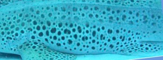 a91e79a9-082d-4a73-b5a5-e1ce7b174027