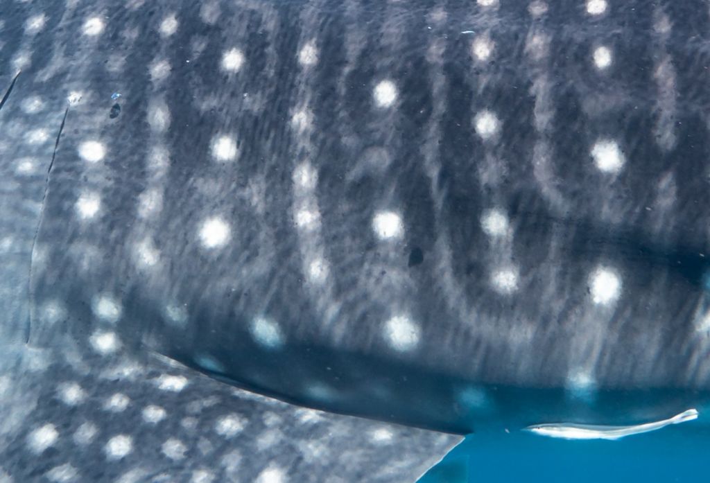 f06e84eb-0d69-4cb4-9f11-96506ac97426