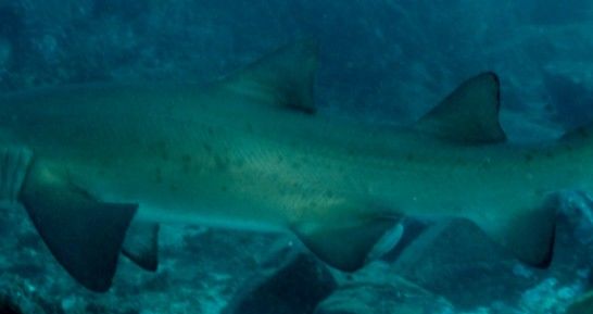 96d49936-afa2-4ddb-b9df-7ad0c3109f92