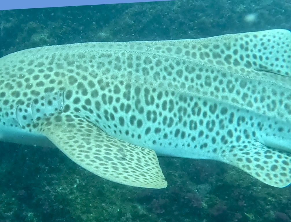 f94ecb63-4300-472c-ad18-e2ab4621dc5e