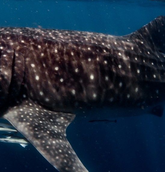 16e954a4-3840-475e-ad0e-a756cb06d1d5