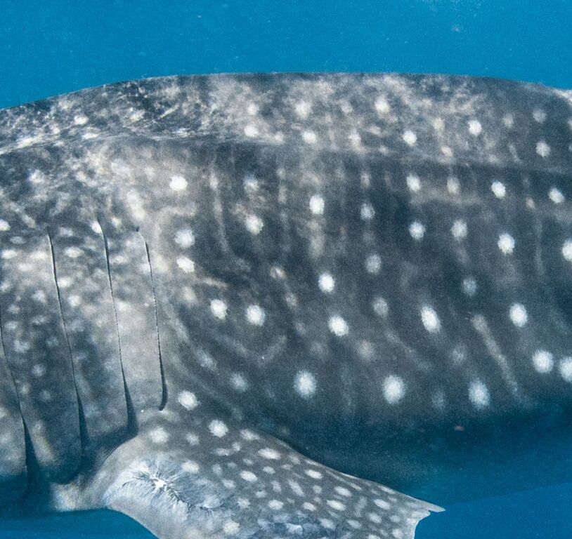 b096664e-c8f4-43fe-b02b-7df90c63ef23