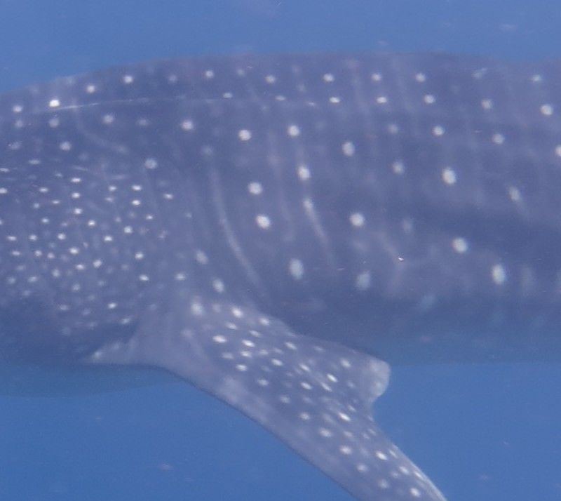 3124537b-6b19-4a9f-ae8a-2423f94b7e60