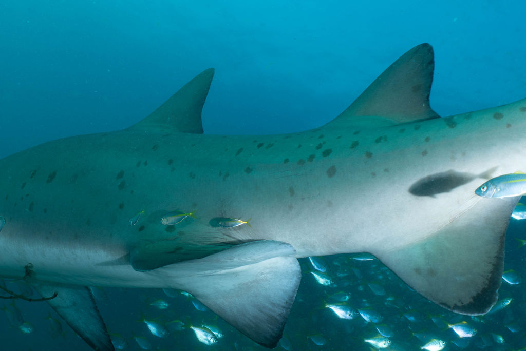 2037cb23-55ed-4d23-9ac8-982c9374f57d