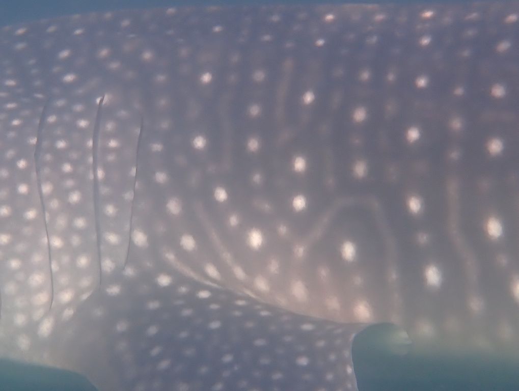 d3da3c36-7158-4249-977a-f27c2405115c