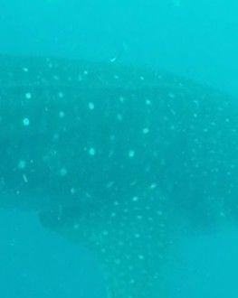 eff95ec6-ee84-490a-a1a0-c1d000a9dcf7