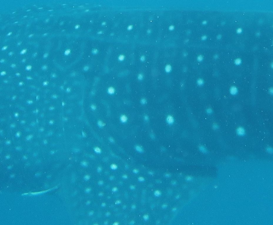 eff95ec6-ee84-490a-a1a0-c1d000a9dcf7