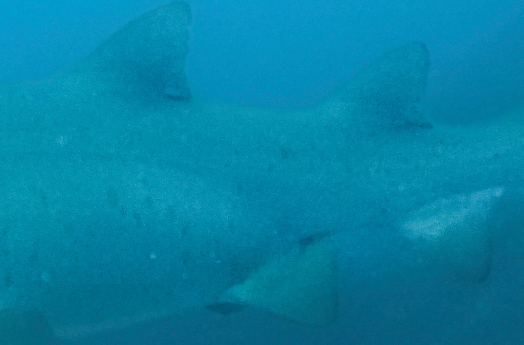 0acb6537-b97f-4a34-91c8-ed4d85b1b975