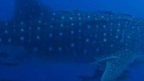 27dc01f8-f319-4d1b-9ea0-3456c7235f46