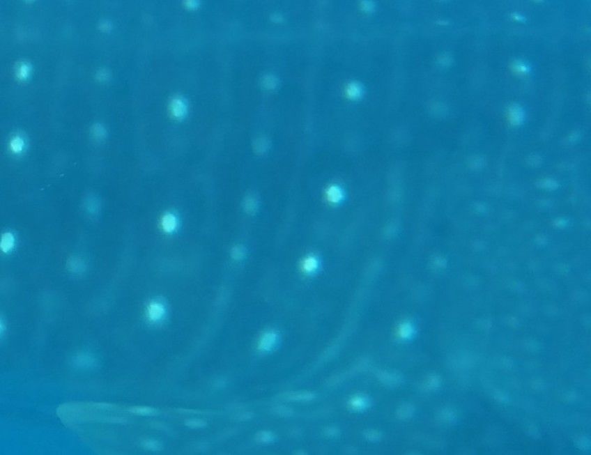 1810795a-d2e5-45e2-a108-87b57ee729f8