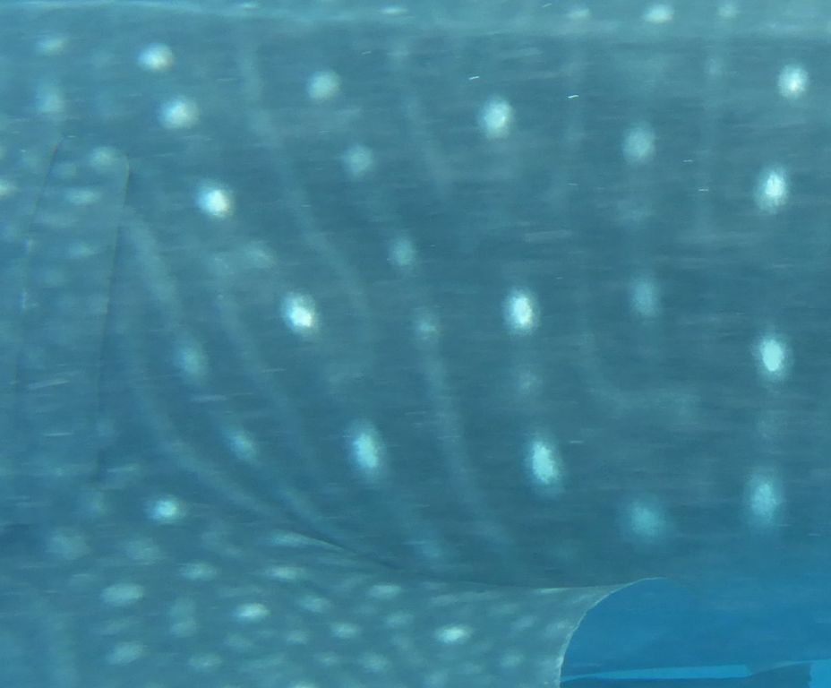 1810795a-d2e5-45e2-a108-87b57ee729f8