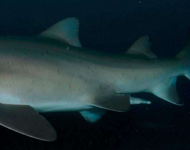 a602857b-a328-4277-9db3-0f42b90f28c3