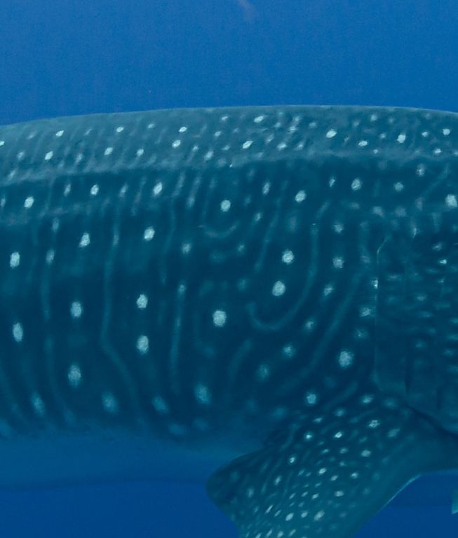 84645220-c67a-4188-bbbf-8b4292210c9f