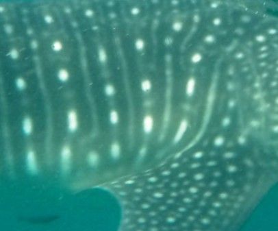 77847a24-dbfc-4b32-b229-1b6b74da0d8d