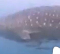 93230b61-1507-4d06-bf71-3d6c9c5a712a