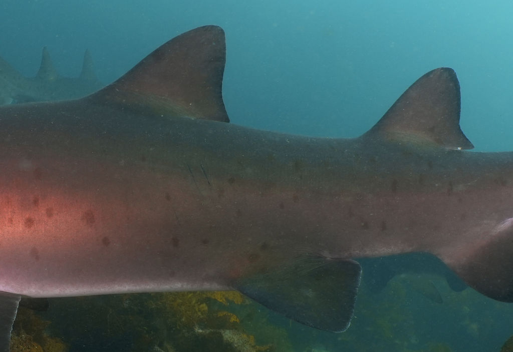 1bfccfbe-b46c-4ae7-a50b-4b15747b076c