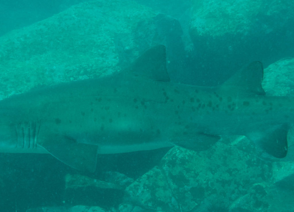 60720573-2548-4df3-a36d-a76efec24685