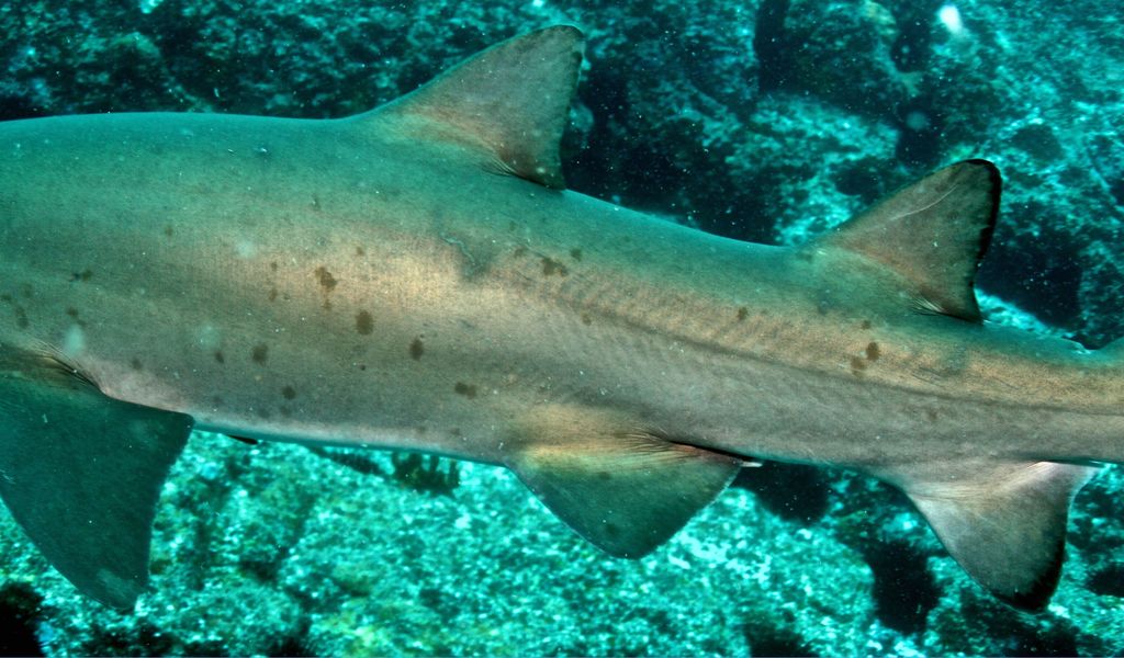 ddaa806c-740f-419d-a366-e228c07199ee