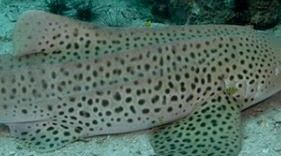 4f65b237-513e-402b-a58a-c40607f3e876