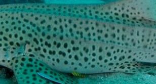 4f65b237-513e-402b-a58a-c40607f3e876