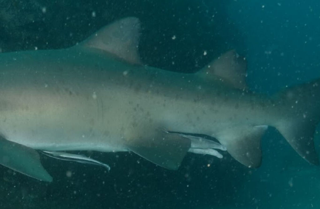 35aa5576-20f1-4ab1-bc65-239ee2ff1092