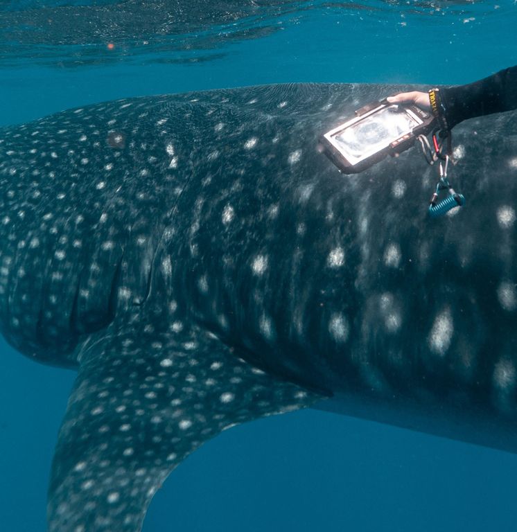 5f12f235-b701-4a87-b2e1-5df30b94dfb3