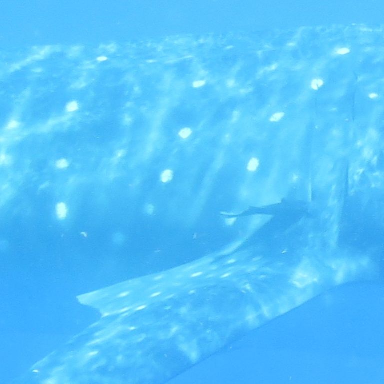 24756729-b16d-4ec5-abb0-8f8d76c296a3