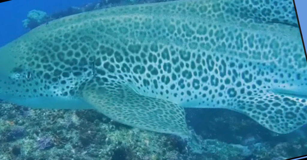 3ece43f8-70df-4fbc-a889-56bbe78cbbf7