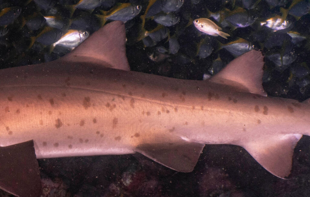 5c4e2987-4485-496a-898d-0bab21c6b8f5