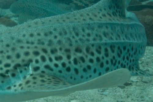 424da790-875b-4c5f-99b9-934edd17457a