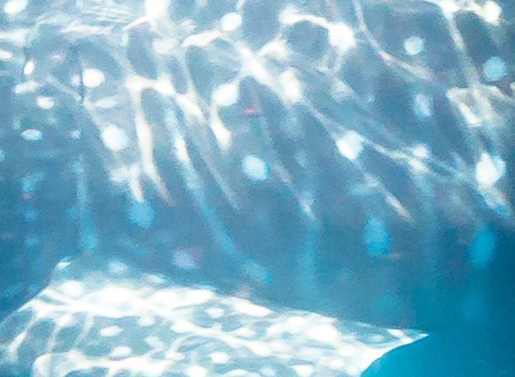 54a93e6d-aa2d-4405-9363-685b0c091394