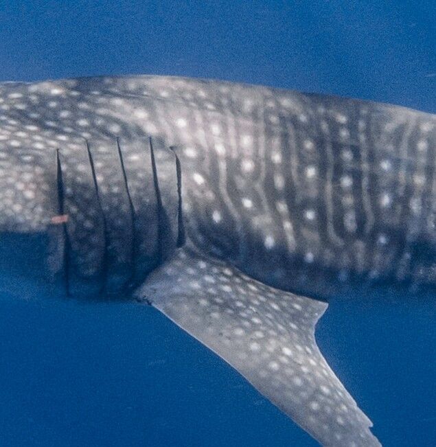 02f1f6a9-c8fa-4aa6-a064-23c18fc1cc40