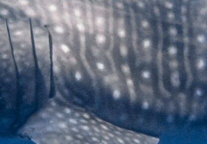 02f1f6a9-c8fa-4aa6-a064-23c18fc1cc40