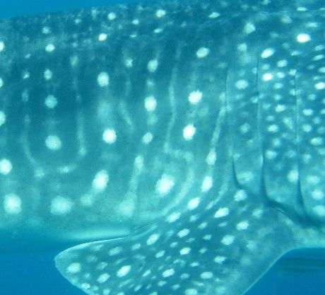 e7332dd0-8797-4c13-94d1-6d9ffdd8068b