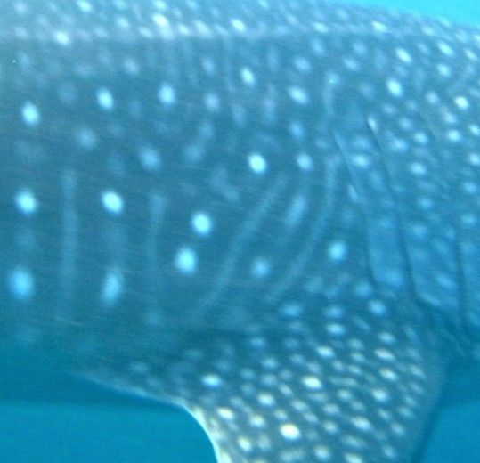 990c742e-c24e-4a9a-a57a-f0996d362cac