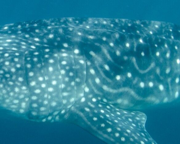 321e7450-cdd9-4e01-b48e-6c3bcf09441e