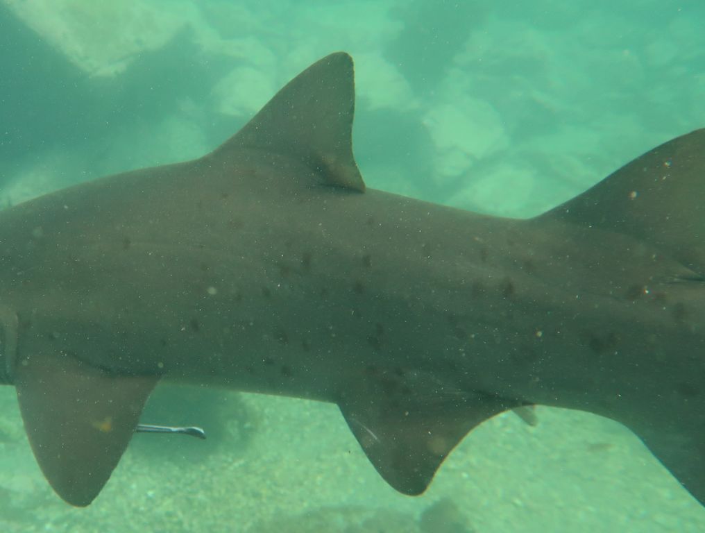 0dc06a6a-50b3-4e70-b7d3-15c5b3c37d59