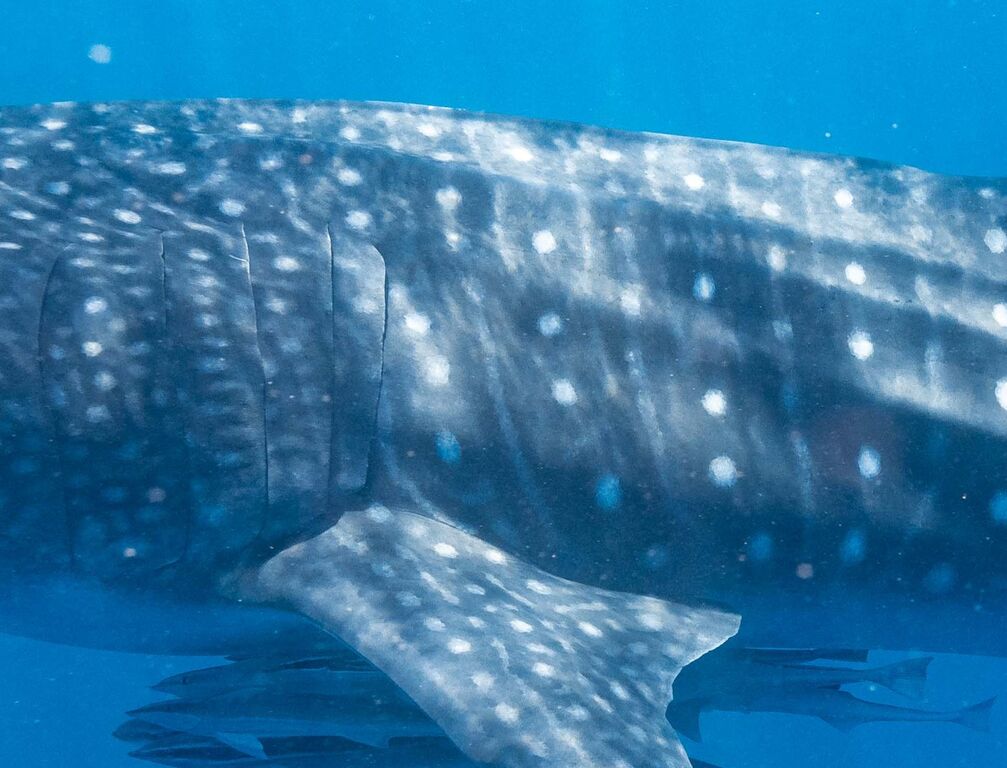 f811686f-7416-441f-874e-b85c7c7b5fc8