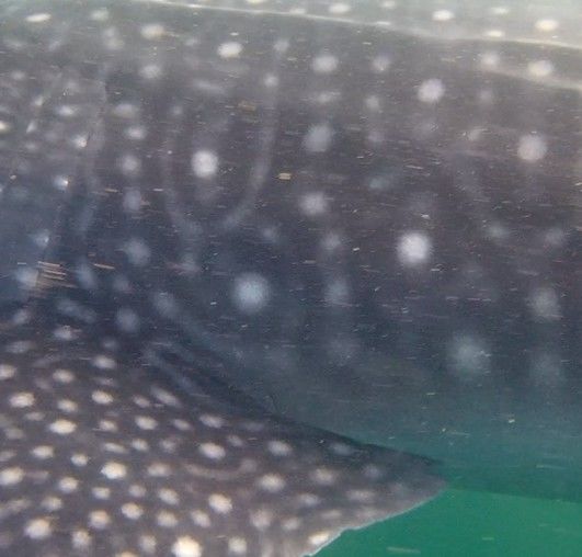 f0297c5b-1c63-46cd-9dcd-9af91a71be24