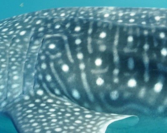 85f7cb64-73e3-4a5f-b135-4ed13c2f9f05