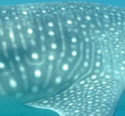 85f7cb64-73e3-4a5f-b135-4ed13c2f9f05