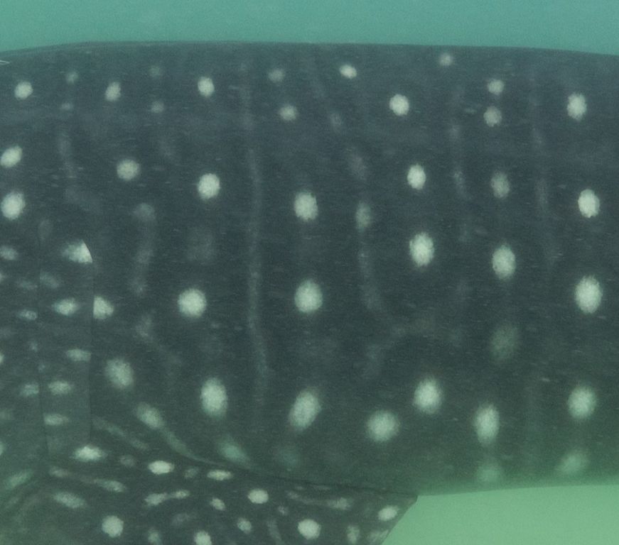 28836b39-3a4c-41c6-97e5-b05590676e04