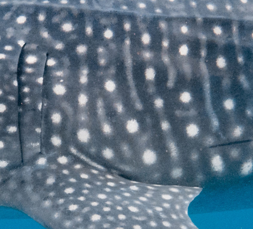 19b09513-66cb-4453-8af1-bdec5a99f3f8