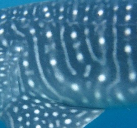 3a6757e3-be1b-412c-a69e-269733b5236c