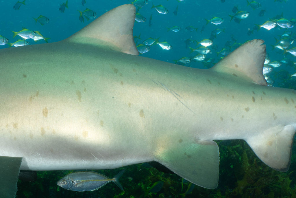 ba79c89e-34a1-49f6-88cf-ab31b73fef72