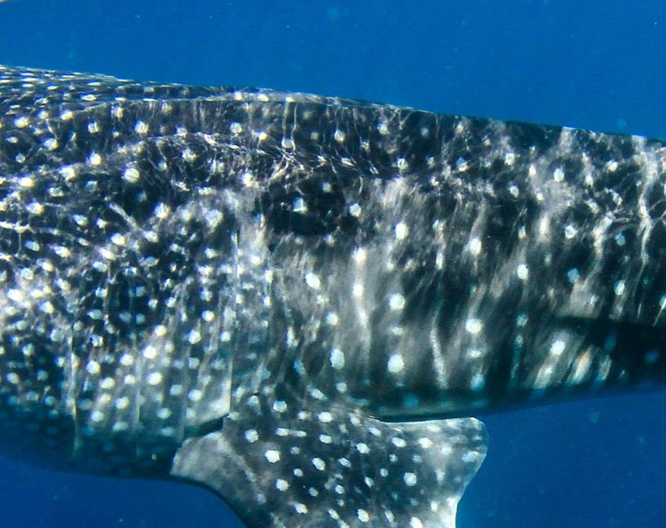 0774d24e-cb78-4a89-abd1-715c9846147d