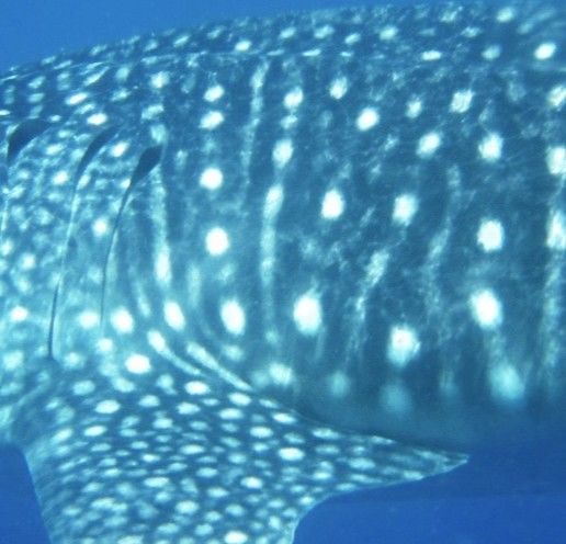 29a18e20-4018-42c7-9e0c-0916639cb2f3