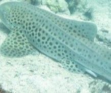 24d3f616-672c-4a9b-a37f-f38ecbf1ded2