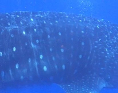 933f1c16-eb21-48fb-9c3a-f21519392487