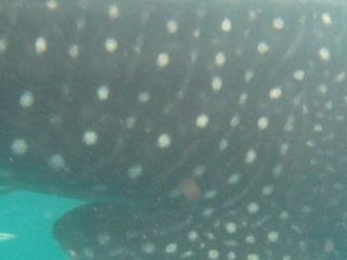 964c978a-15db-444a-ae2e-d0f36ef119c3